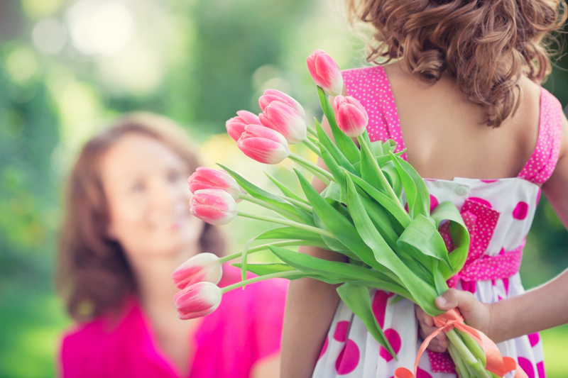 flowers Tulips