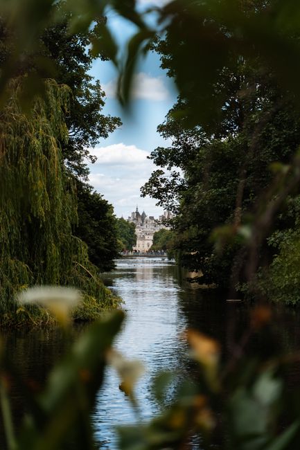 A scenic view of a river framed by lush green trees on both sides, with a glimpse of a historic building or castle in the distance under a partly cloudy sky. The foliage appears vibrant and dense, cre
